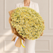 Букет зі 101 гілки матрикарії з біло-жовтими стрічками