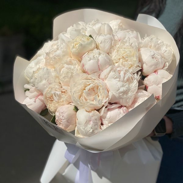 півонії білі крупний план